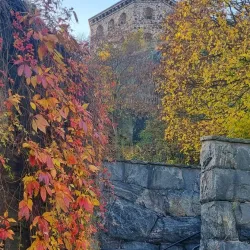 Haga District - Gothenburg