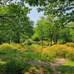 Slottsskogen Park - Gothenburg