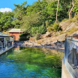 Slottsskogen Park - Gothenburg