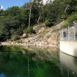 Slottsskogen Park - Gothenburg