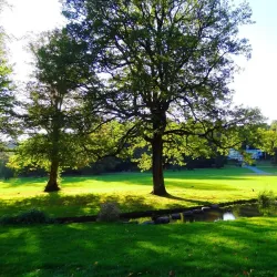 Slottsskogen Park - Gothenburg