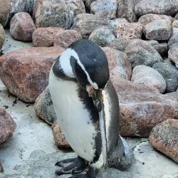 Slottsskogen Park - Gothenburg