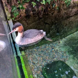 Universeum - Gothenburg