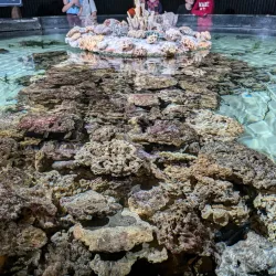 Universeum - Gothenburg