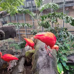 Universeum - Gothenburg