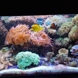 Universeum - Gothenburg