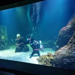 Universeum - Gothenburg