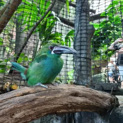 Universeum - Gothenburg