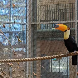 Universeum - Gothenburg