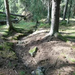 Gustavsberg Nature Reserve - Gustavsberg