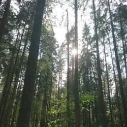 Gustavsberg Nature Reserve - Gustavsberg