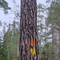 Gustavsberg Nature Reserve - Gustavsberg