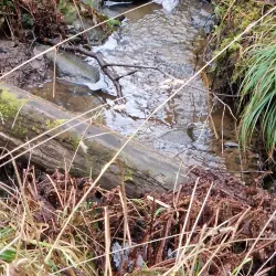 Gustavsberg Nature Reserve - Gustavsberg