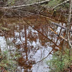 Gustavsberg Nature Reserve - Gustavsberg