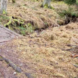 Gustavsberg Nature Reserve - Gustavsberg