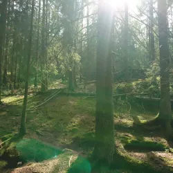 Gustavsberg Nature Reserve - Gustavsberg