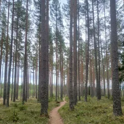 Hagfors Forest Trails - Hagfors