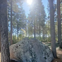 Hagfors Forest Trails - Hagfors