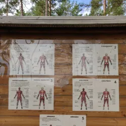 Hagfors Forest Trails - Hagfors