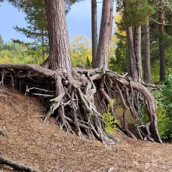 Lake Övre Fryken - Hagfors