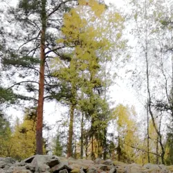 Lake Övre Fryken - Hagfors
