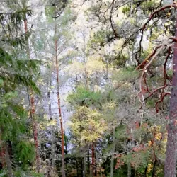 Lake Övre Fryken - Hagfors