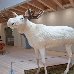 Värmland Museum - Hagfors