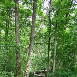 Halmstad Golf Club - Halmstad