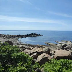 Halmstad Golf Club - Halmstad