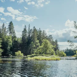 Nissan River Walk - Halmstad