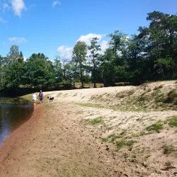 Nissan River Walk - Halmstad