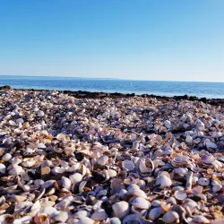 Östra Stranden - Halmstad