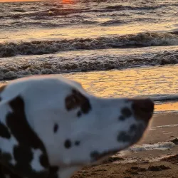 Östra Stranden - Halmstad