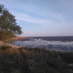 Tylösand Beach - Halmstad