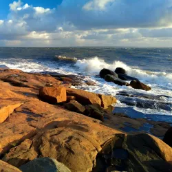 Tylösand Beach - Halmstad