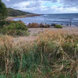 Tylösand Beach - Halmstad