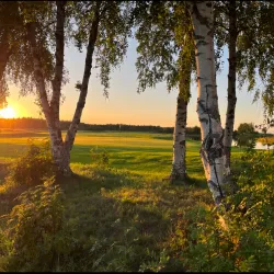 Haparanda Golf Club - Haparanda