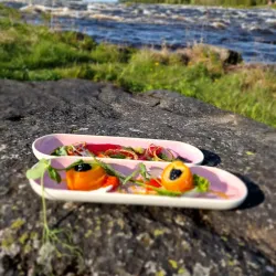 Kukkola Rapids - Haparanda