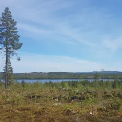 Tornio River Walk - Haparanda