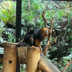 Tropikariet - Helsingborg