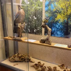 Falsterbo Lighthouse - Höllviken