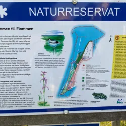 Falsterbo Nature Reserve - Höllviken