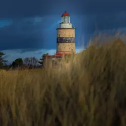 Falsterbo Nature Reserve - Höllviken
