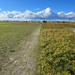 Falsterbo Nature Reserve - Höllviken