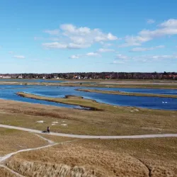 Falsterbo Nature Reserve - Höllviken