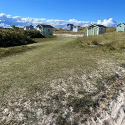 Falsterbo Nature Reserve - Höllviken