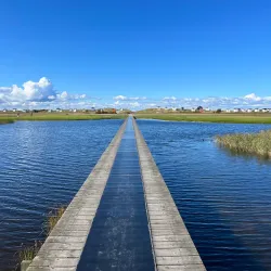 Falsterbo Nature Reserve - Höllviken