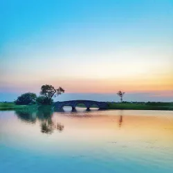 Falsterbo Nature Reserve - Höllviken