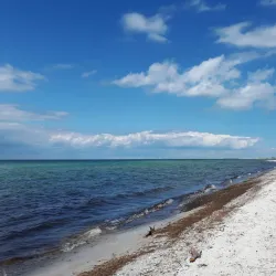 Falsterbo Nature Reserve - Höllviken