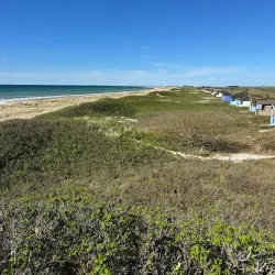 Falsterbo Nature Reserve - Höllviken
